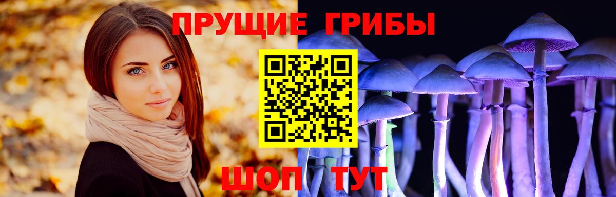 Галлюциногенные грибы GOLDEN TEACHER Сергиев Посад