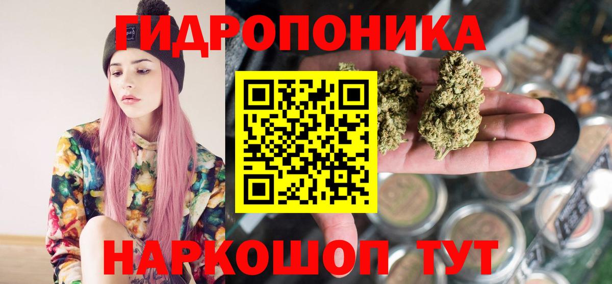 Бошки Шишки семена Сергиев Посад